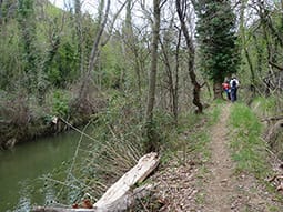 Ruta 13: Senderos de la Huerva (Herrera de los Navarros) Ibérica trail © Comarca de Daroca