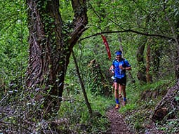 Ruta 13: Senderos de la Huerva (Herrera de los Navarros) Ibérica trail © Comarca de Daroca