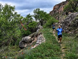 Ruta 13: Senderos de la Huerva (Herrera de los Navarros) Ibérica trail © Comarca de Daroca