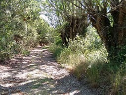 Ruta 33: Valdelobos (VIllar de los Navarros) Ibérica trail © Comarca de Daroca