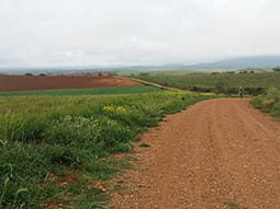 Ruta 33: Valdelobos (VIllar de los Navarros) Ibérica trail © Comarca de Daroca